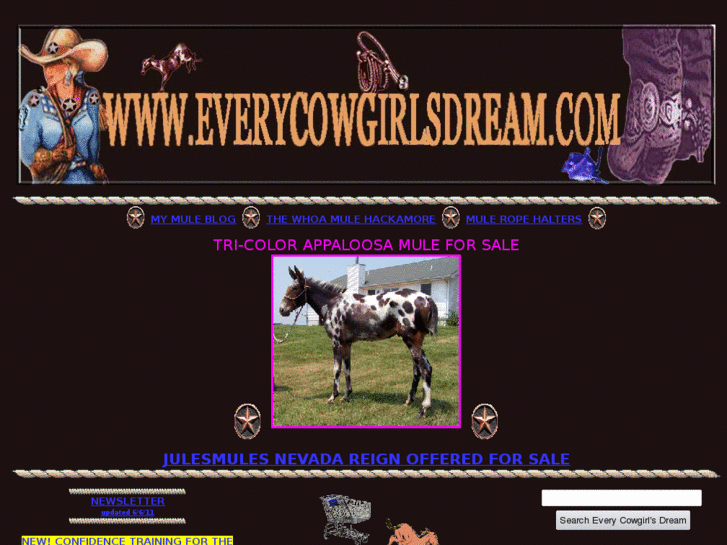 www.everycowboysdream.com