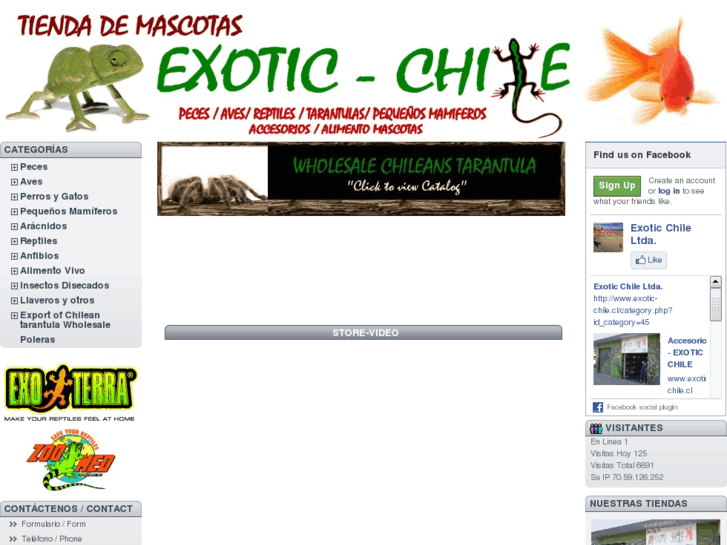 www.exotic-chile.cl