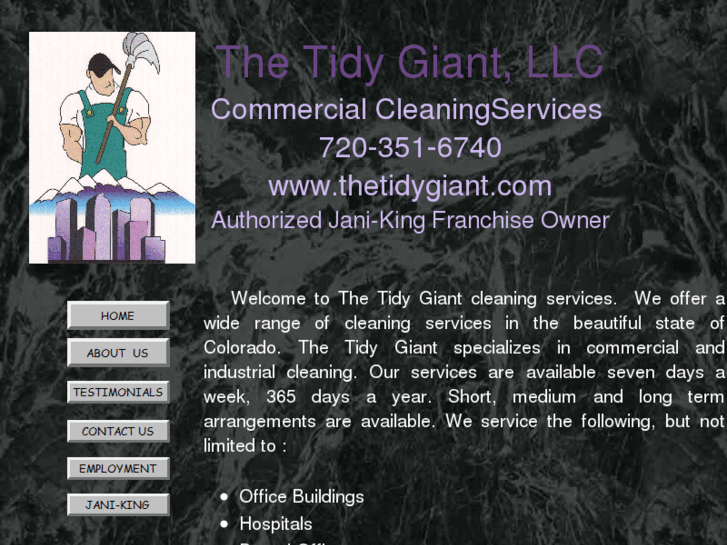 www.thetidygiant.com