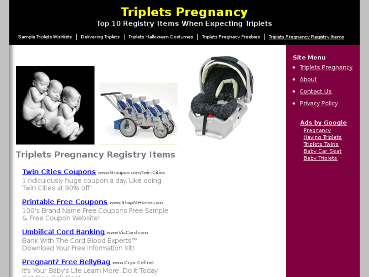 www.tripletspregnancy.com