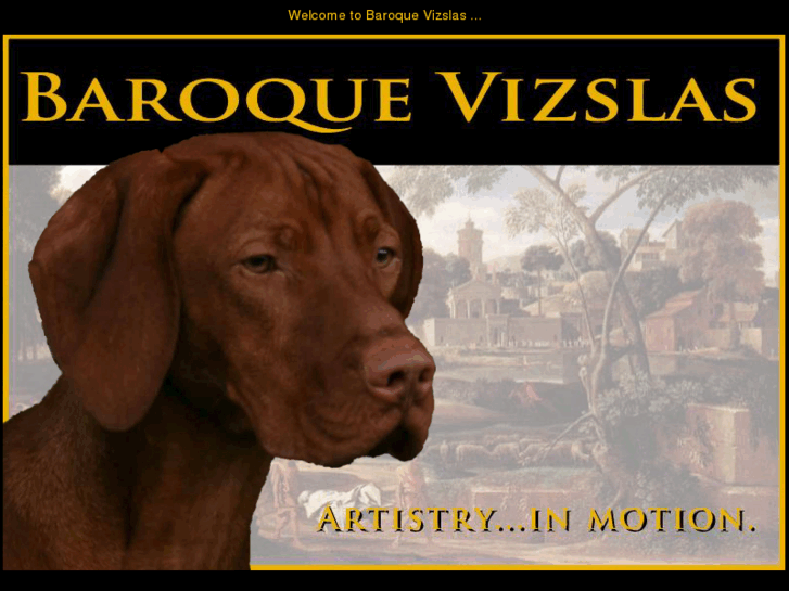 www.baroquevizslas.com