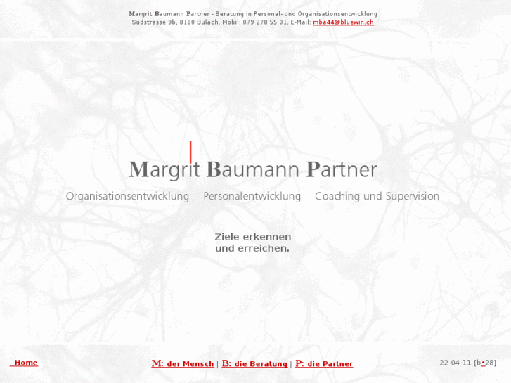 www.baumann-partner.ch