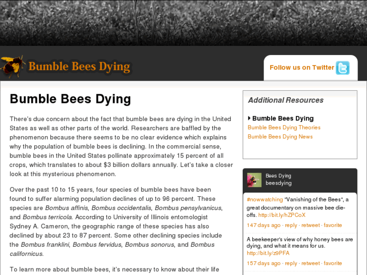 www.bumblebeesdying.com