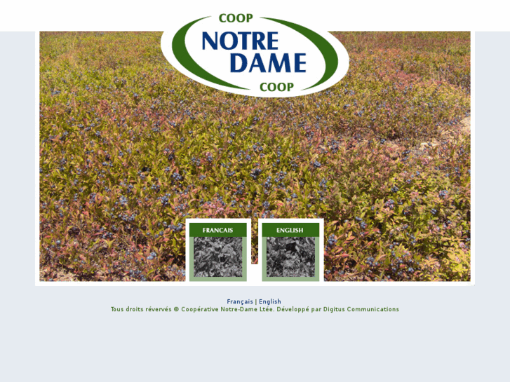 www.coopnotredame.com