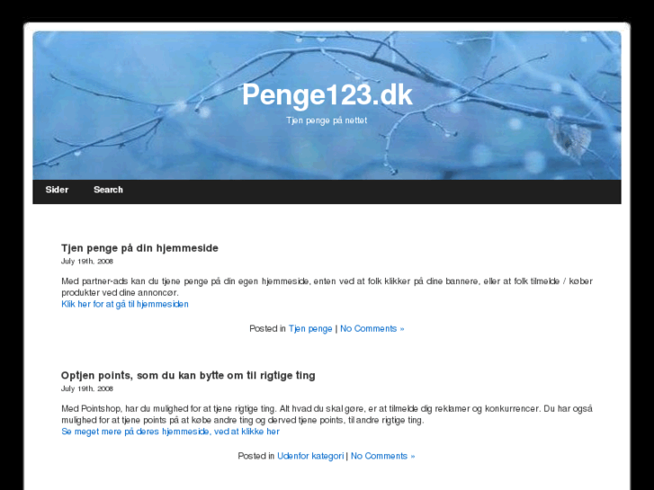 www.penge123.dk