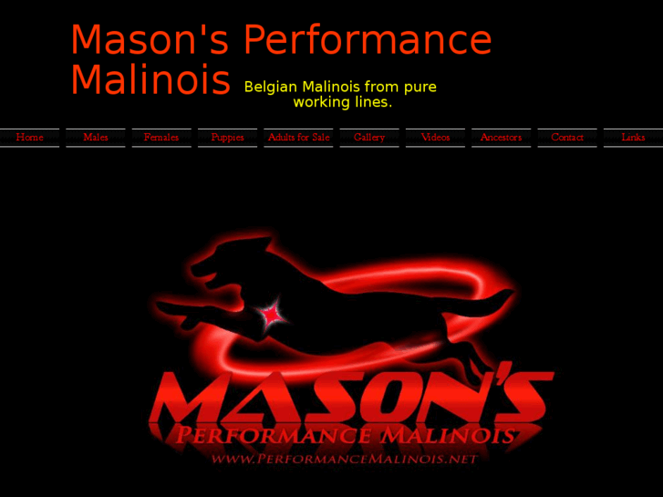 www.performancemalinois.net