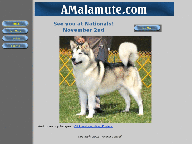 www.amalamute.com