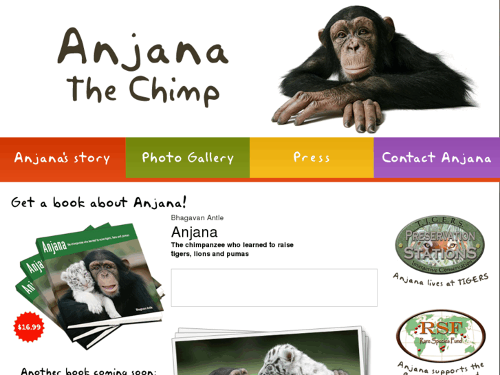 www.anjanathechimp.com