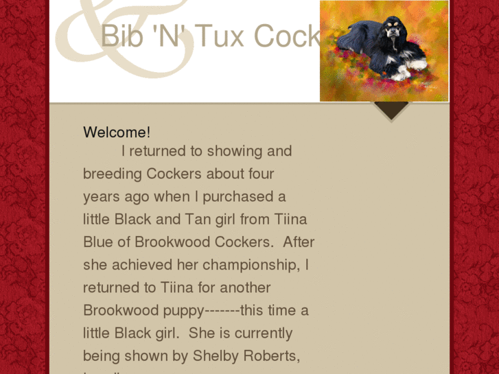 www.bibntuxcockers.com