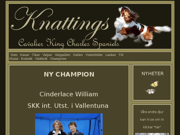 www.knattings.com