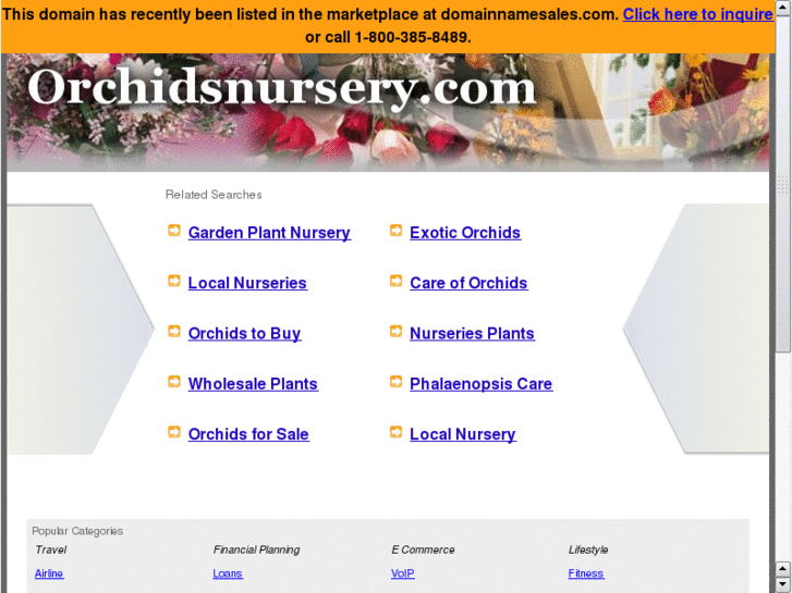 www.orchidsnursery.com