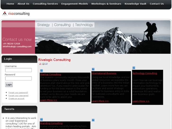 www.rivalogic-consulting.com