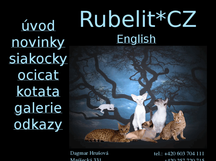 www.rubelit.com