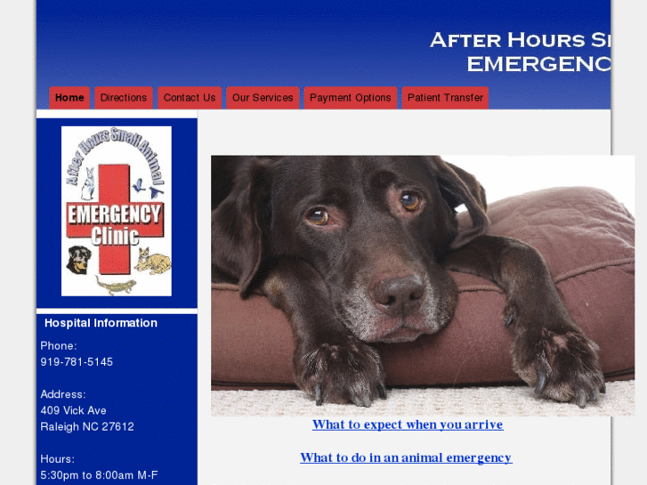 www.afterhoursanimalclinic.net