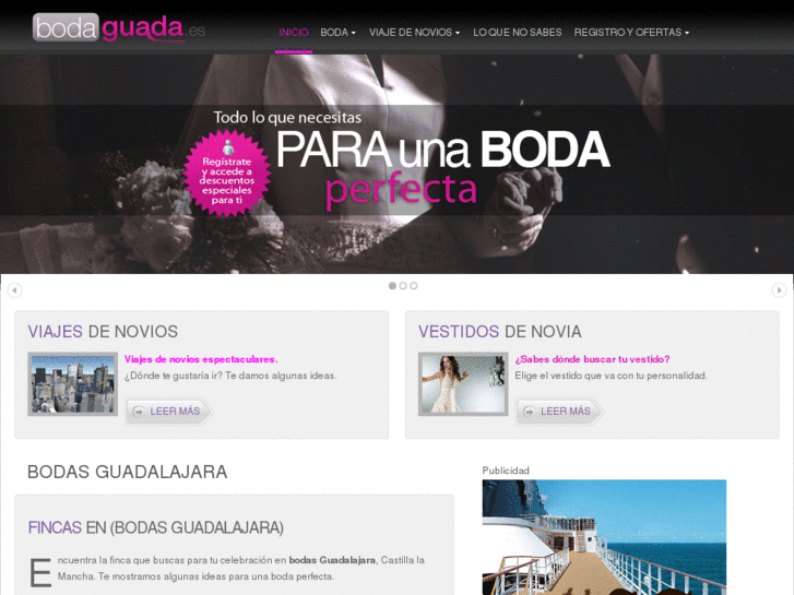 www.agencia-publicidad-online.es