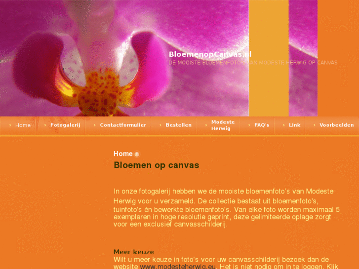 www.bloemenopcanvas.nl