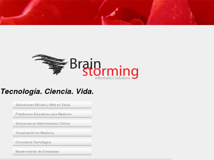 www.brainstorminginformatics.net