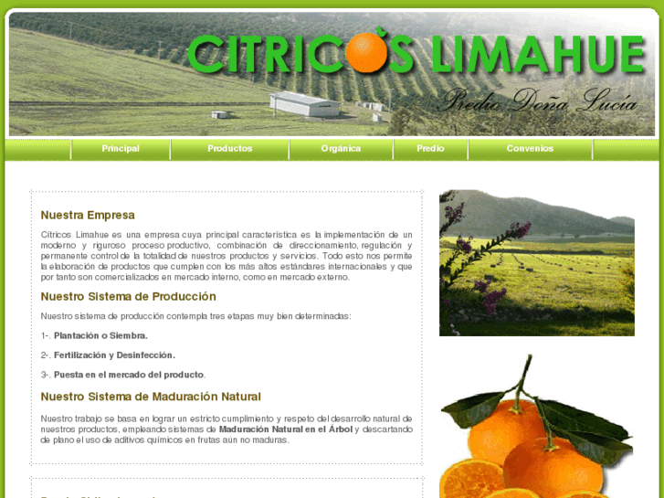 www.citricoslimahue.com