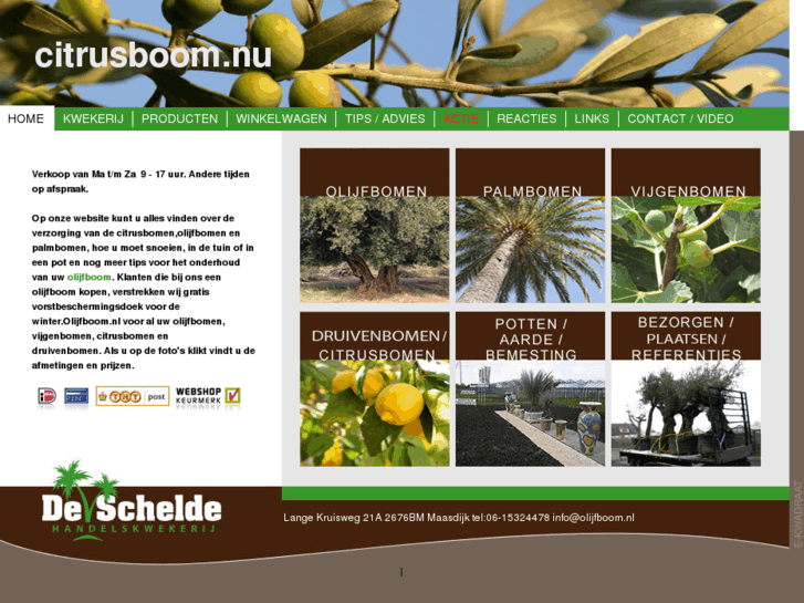 www.citrusboom.nu