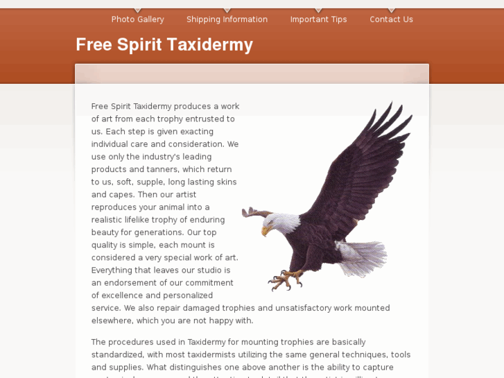 www.freespirittaxidermy.com