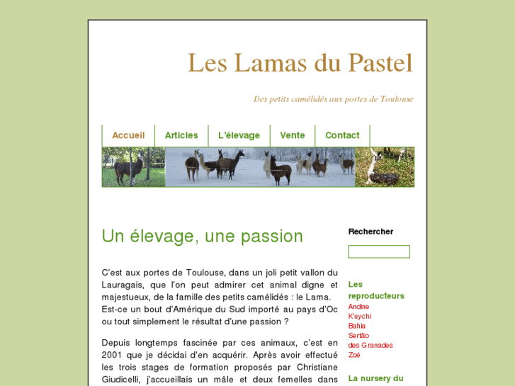 www.lamas-du-pastel.com