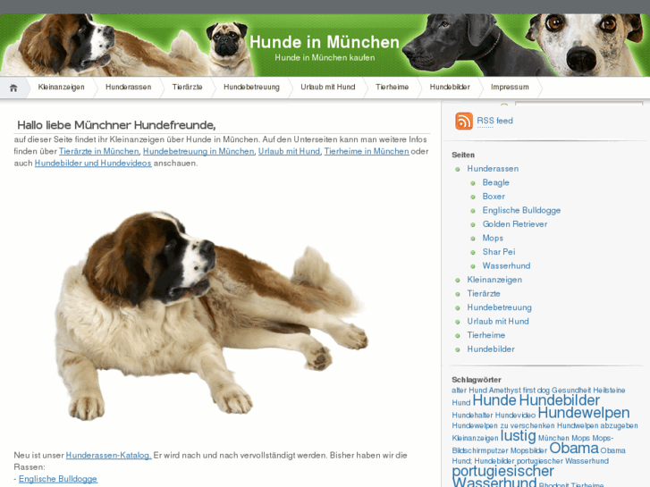 www.muenchen-hunde.de