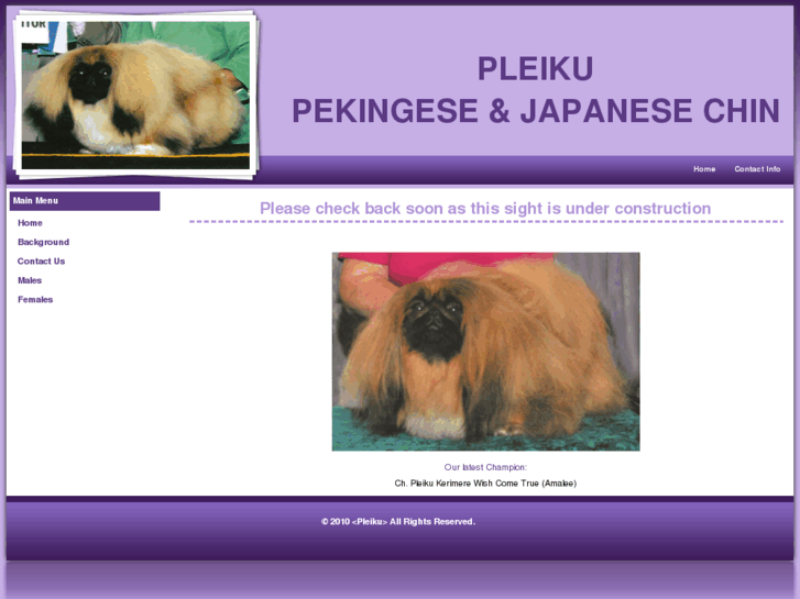 www.pleikupekingese.net