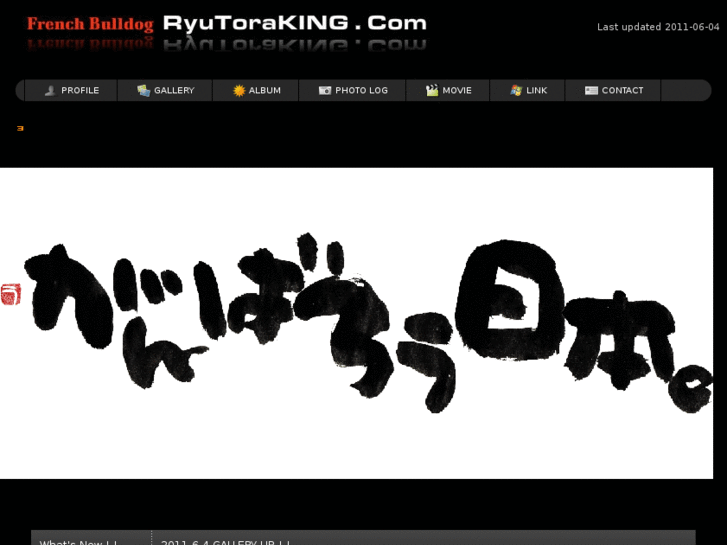 www.ryutoraking.com