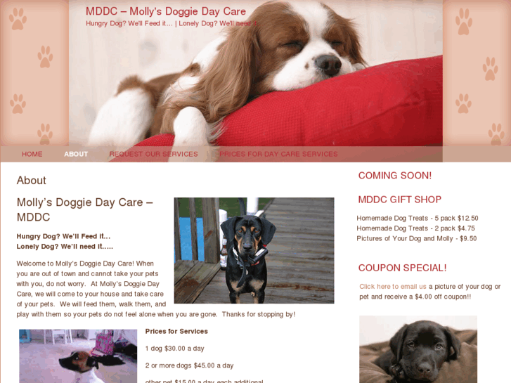 www.mollysdoggiedaycare.com