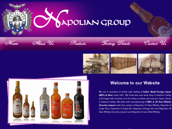www.napoliangroup.com