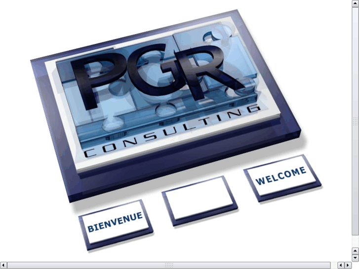 www.pgr-consulting.com