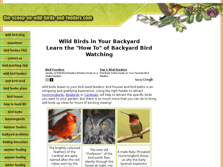 www.the-scoop-on-wild-birds-and-feeders.com