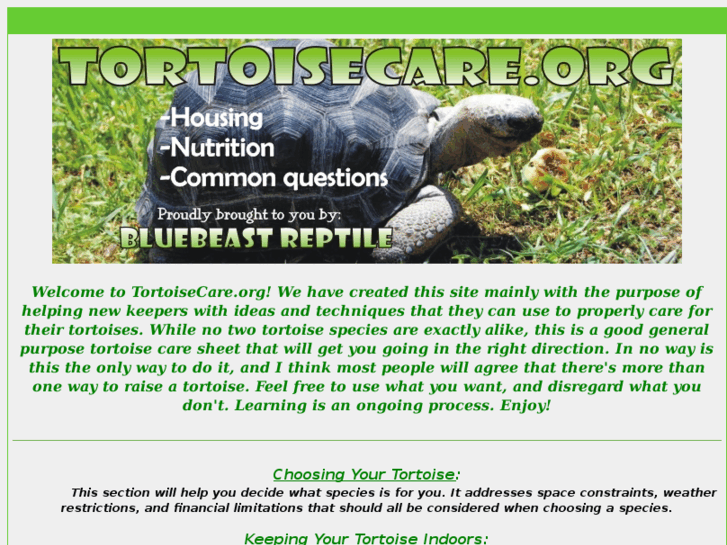 www.tortoisecare.org