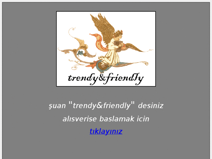 www.trendyfriendly.net