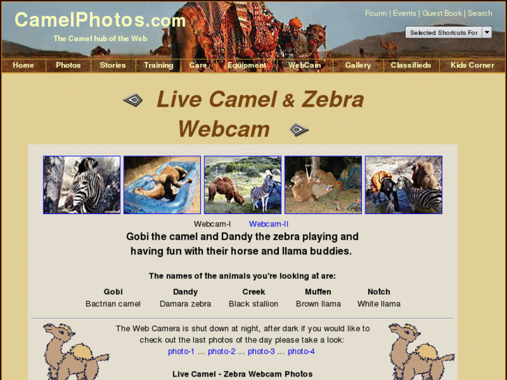 www.cameltv.com