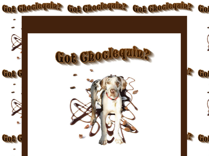 www.chocolateharlequindanes.com