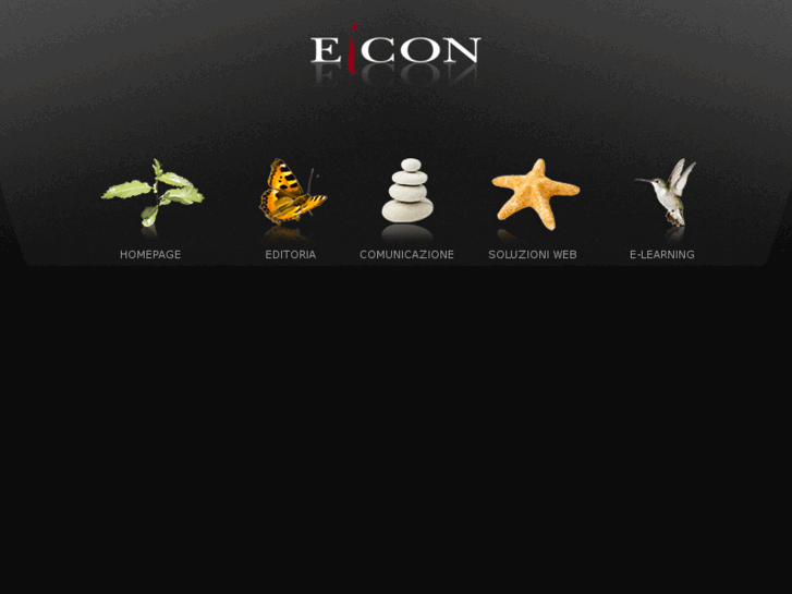 www.eicon.biz