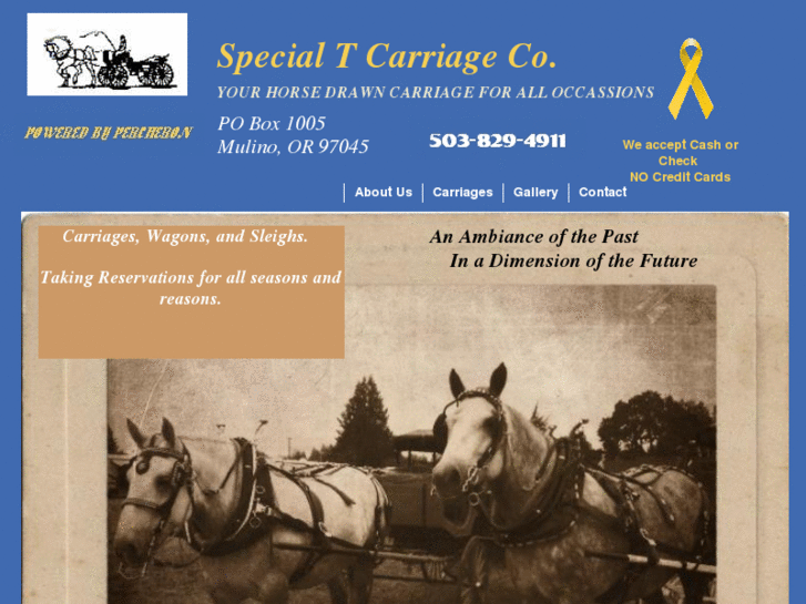 www.specialtcarriage.com