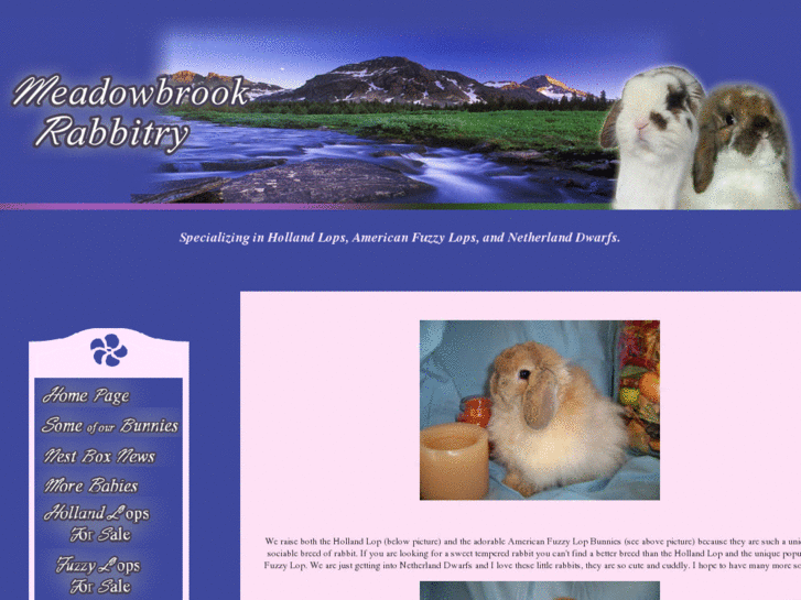 www.meadowbrookrabbitry.com