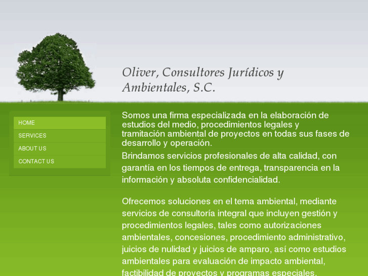 www.oliverconsultoria.com