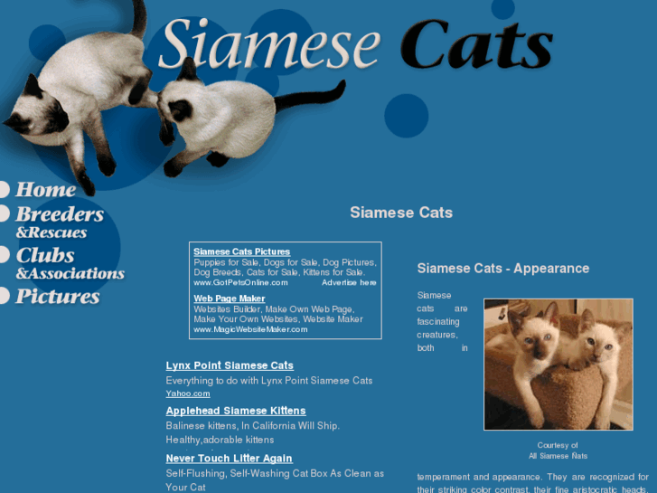 www.siamese-cats.org