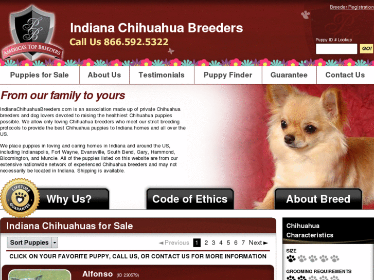 www.indianachihuahuabreeders.com