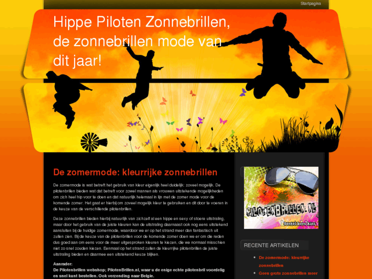 www.pilotenzonnebrillen.com