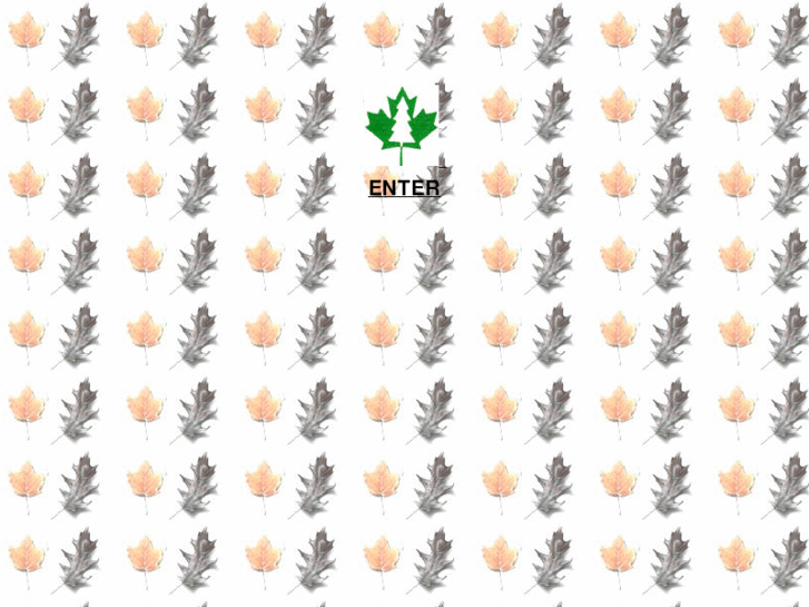 www.tree3000.com
