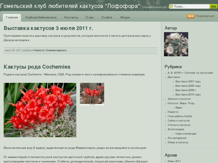 www.cactusgomel.com