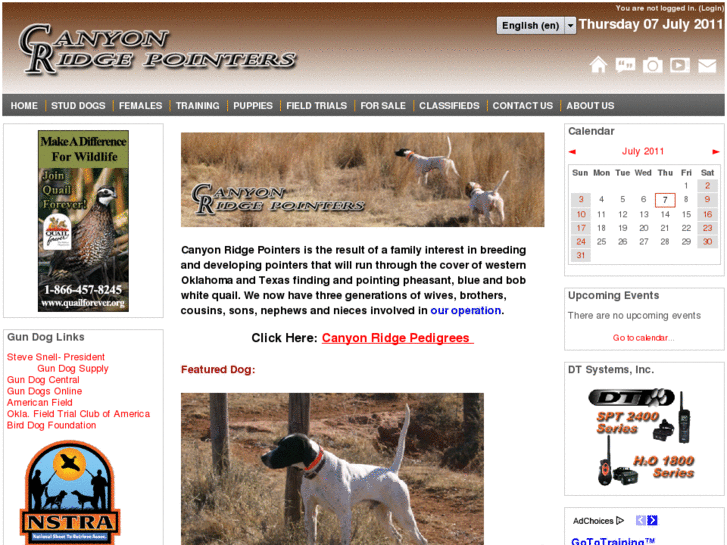 www.canyonridgepointers.com