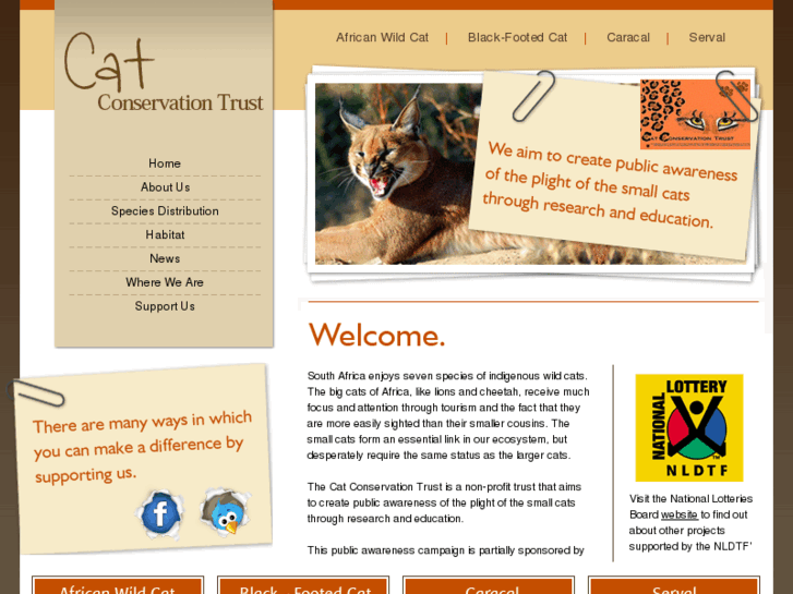 www.karoocats.org
