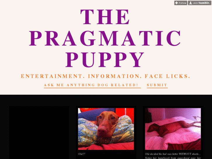 www.pragmaticpuppy.com