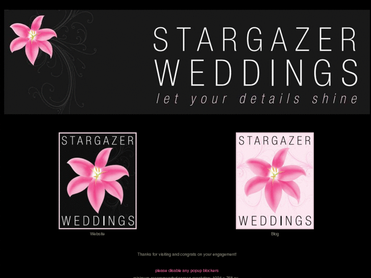 www.stargazerweddings.com