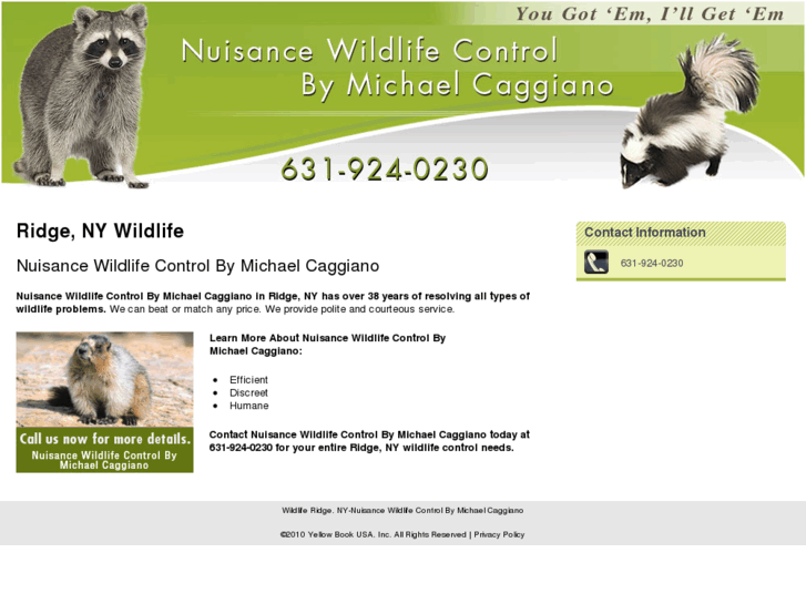 www.caggianonuisancewildlifecontrol.com